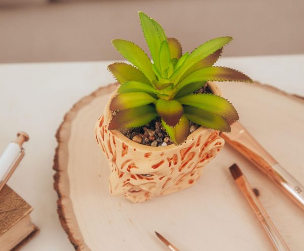 A Nightmare On Elm Street Freddy Krueger Ceramic Planter w  Artificial Succulent Online - Image 5
