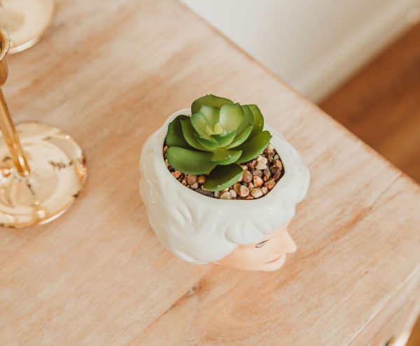 The Golden Girls Dorothy 3-Inch Ceramic Mini Planter With Artificial Succulent For Sale - Image 5