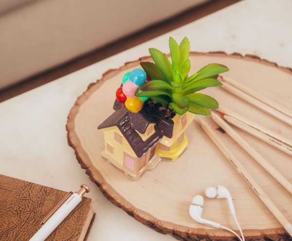 Disney and Pixar Up House 5-Inch Ceramic Mini Planter with Artificial Succulent Online Sale - Image 5